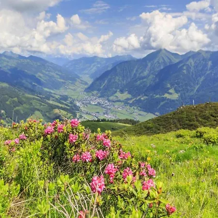 Apartament In Near Slopes *